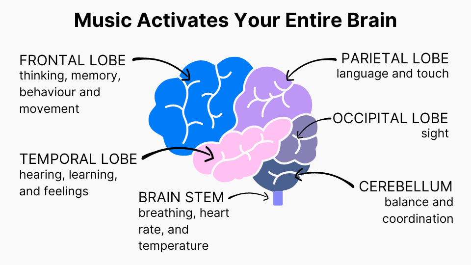 Music Activates Your Entire Brain